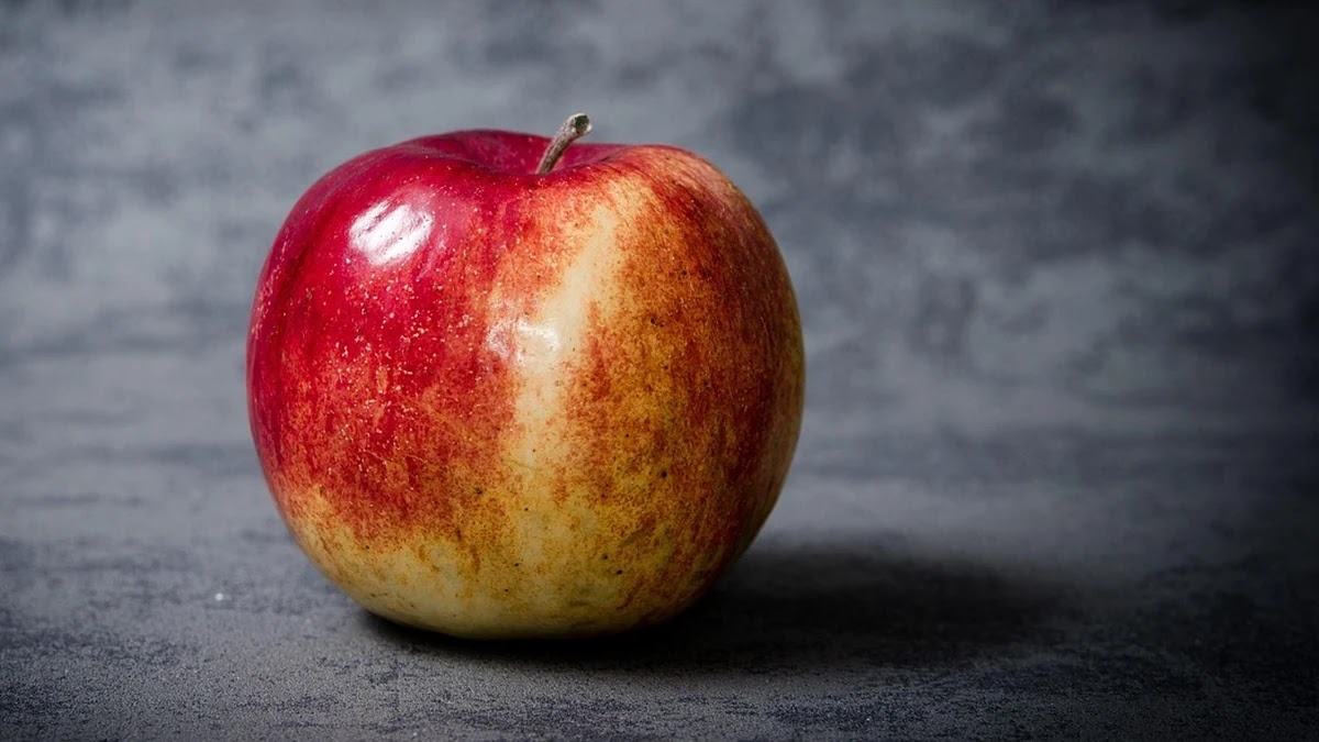 가족별 맞춤 영양제 조합 추천과 선택 기준