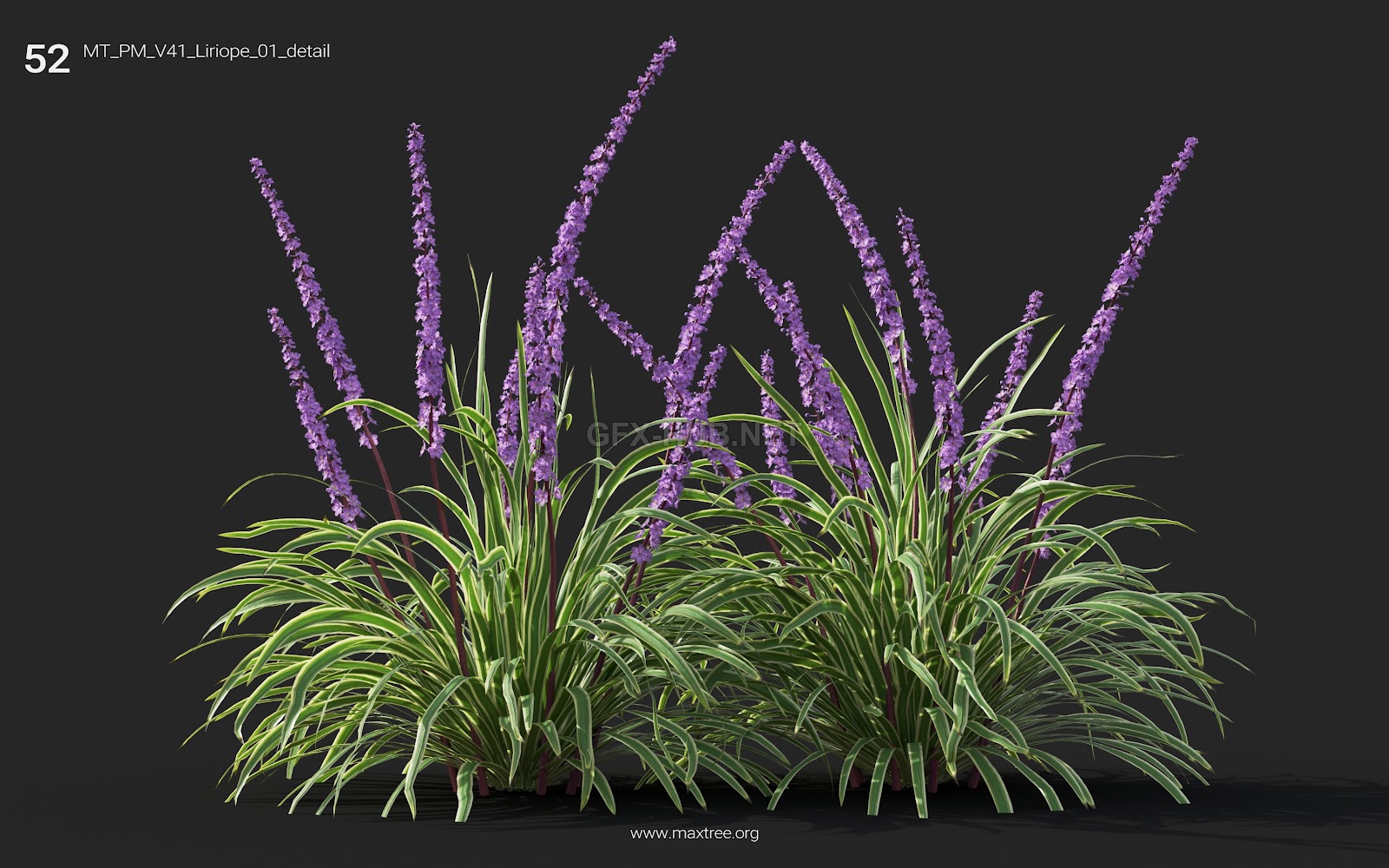 Maxtree - Plant Models Vol.41