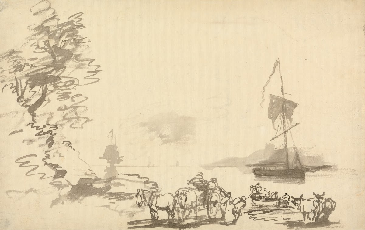 Shore Study
