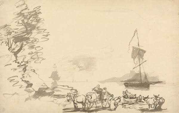 Shore Study