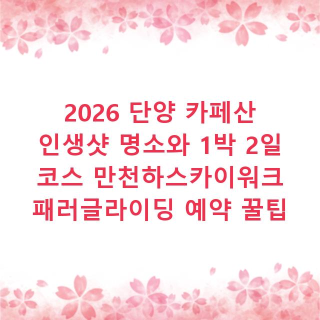 2026 단양 카페산 인생샷 명소와 1박 2일 코스 만천하스카이워크 패러글라이딩 예약 꿀팁