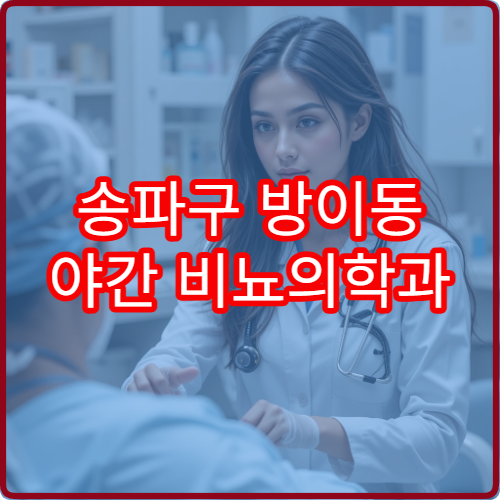 송파구 방이동 야간 비뇨의학과 진료 병원 야간 진료 항목 정리