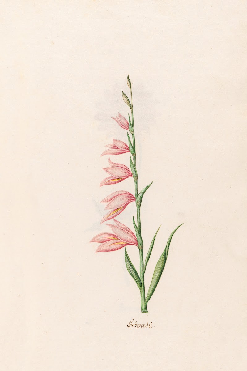 Schwendel 1692