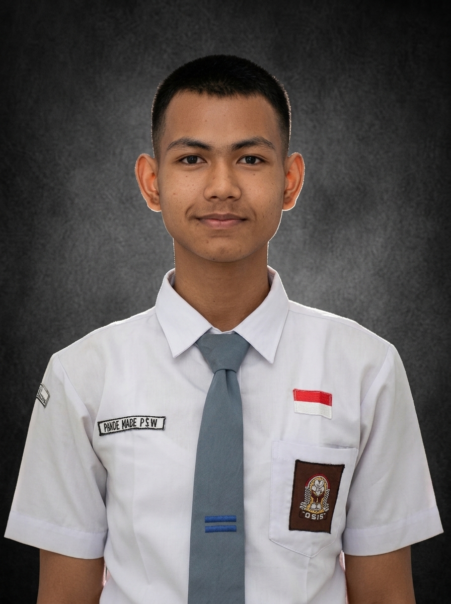 Pande Made Putra Satria Wiguna