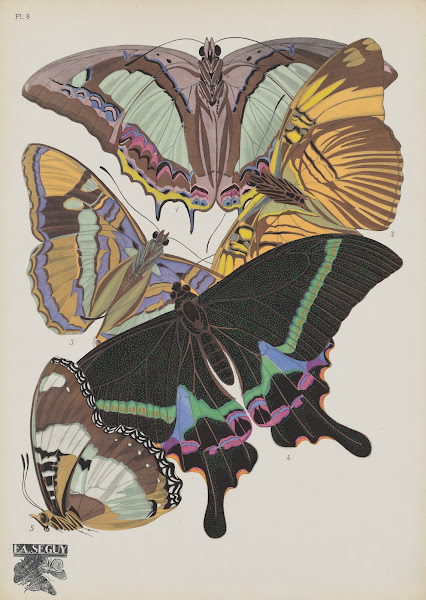 Papillons Pl08 1920