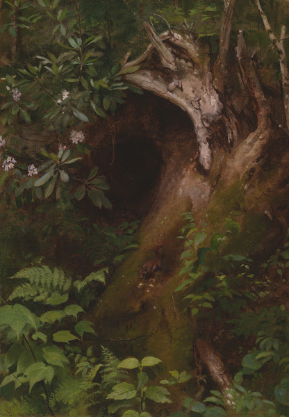 The Squirrel 1860s 70s