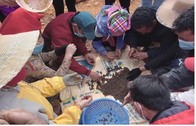 Dự án “Các loài cây bản địa của Việt Nam để  cải thiện sinh kế”