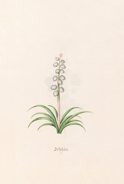 Botrÿdes 1692