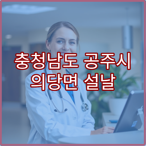 충청남도 공주시 의당면 설날 연휴 당직약국 위치와 운영시간 안내
