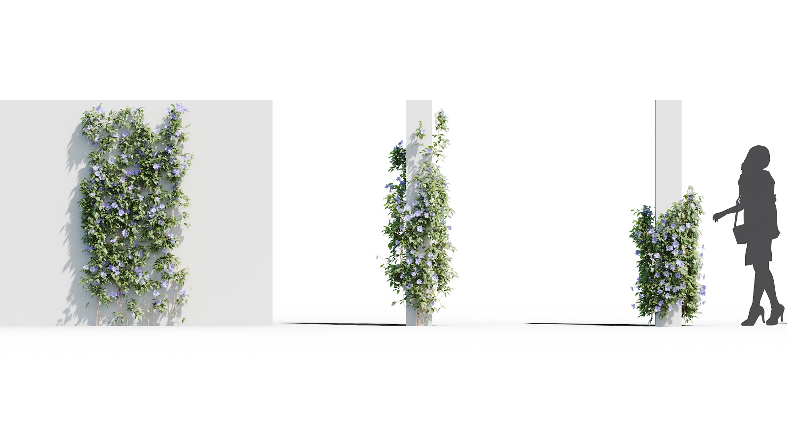 Maxtree - Plant Models Vol.37