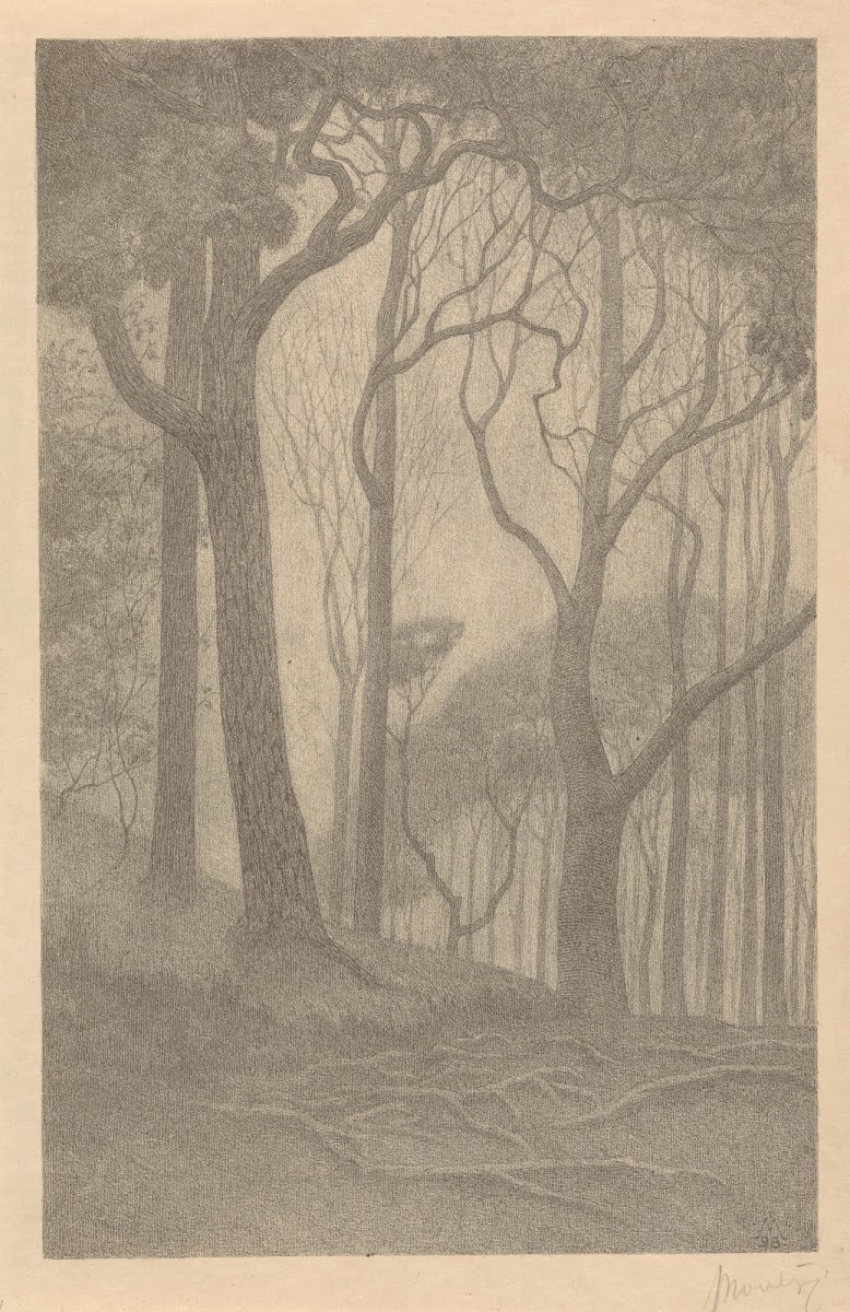Bomen 1898