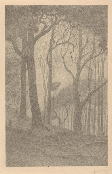 Bomen 1898