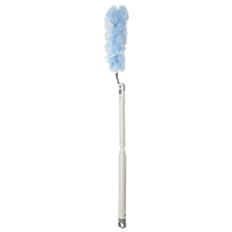 Extendable duster with replaceable brushes