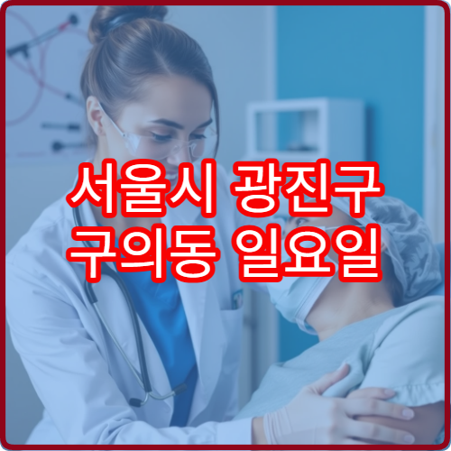 서울시 광진구 구의동 일요일 이비인후과 진료 병원 안내 주말 이비인후과 운영 병원