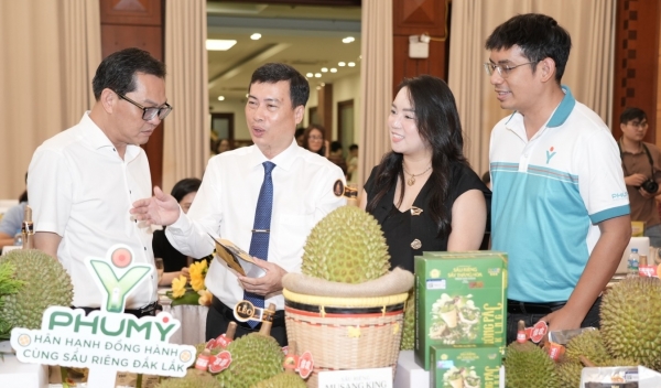 PVFCCo Phú Mỹ hợp tác cùng nông dân Đắk Lắk nâng tầm sầu riêng Việt