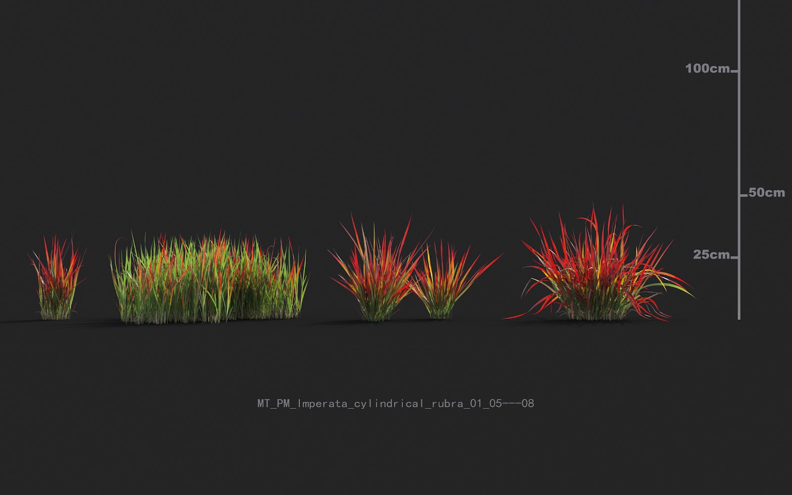 Maxtree - Plant Models Vol.20