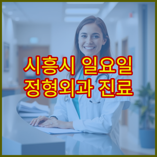 시흥시 일요일 정형외과 진료 병원 허리디스크·관절염 상담 가능