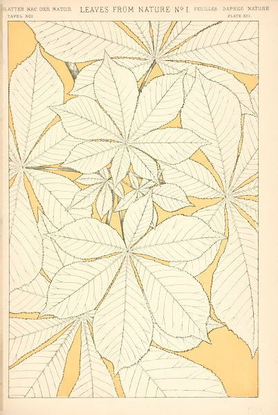 Leaves from Nature No 1 1910