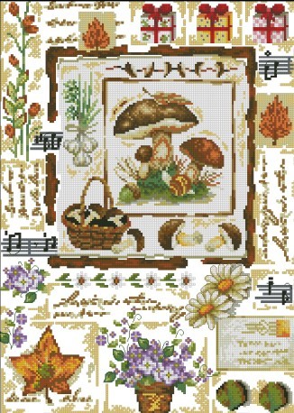 CMP P170 Stc Herbal Story