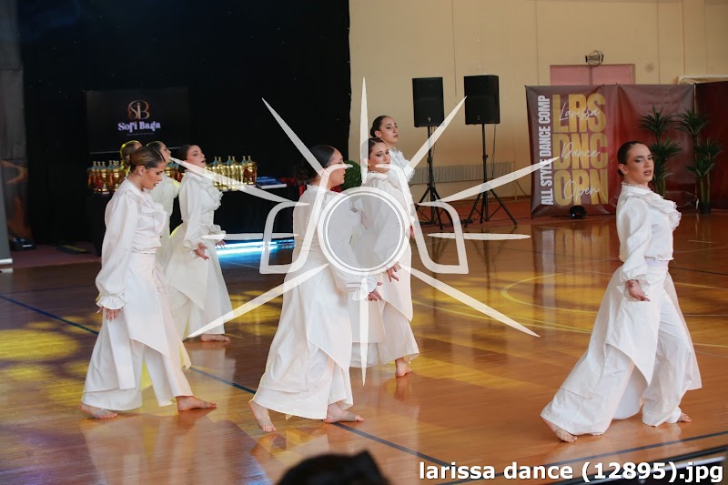 larissa dance (12895).jpg