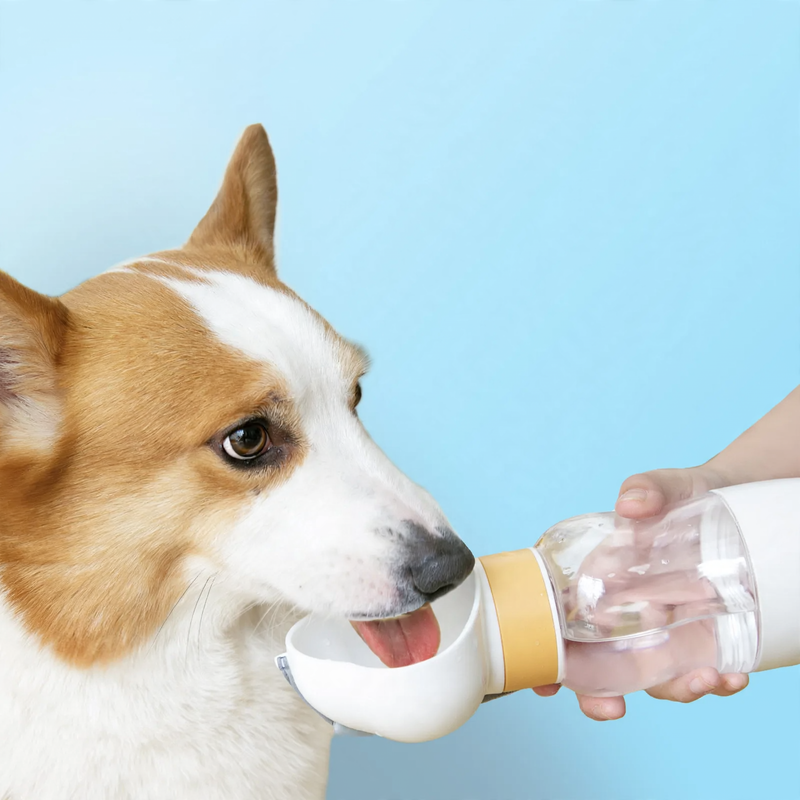 Tragbarer Wasser- und Futternapf für Hunde