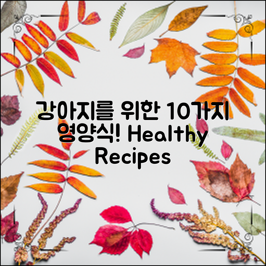 강아지를 위한 10가지 영양식 레시피!