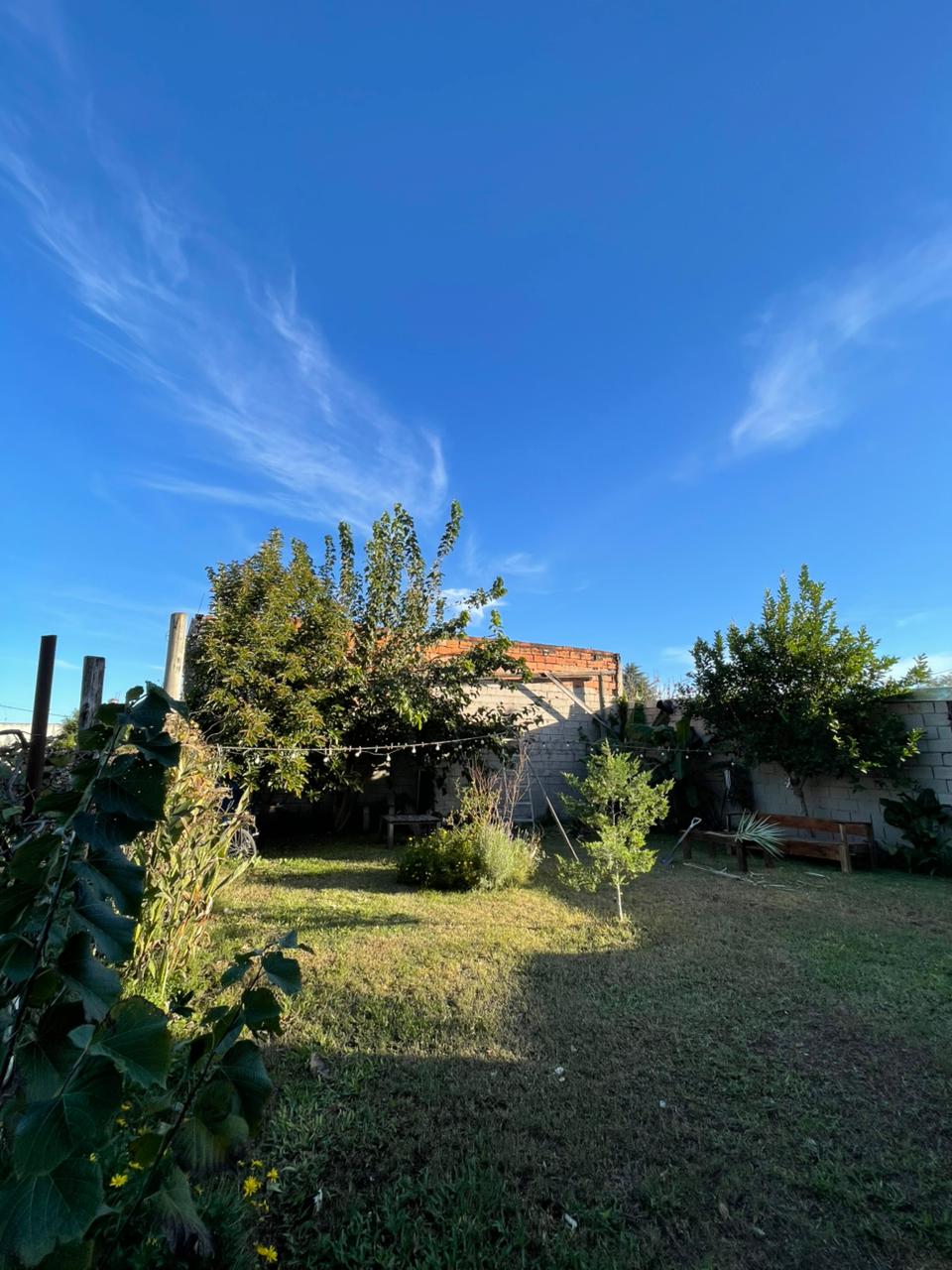 Foto 20