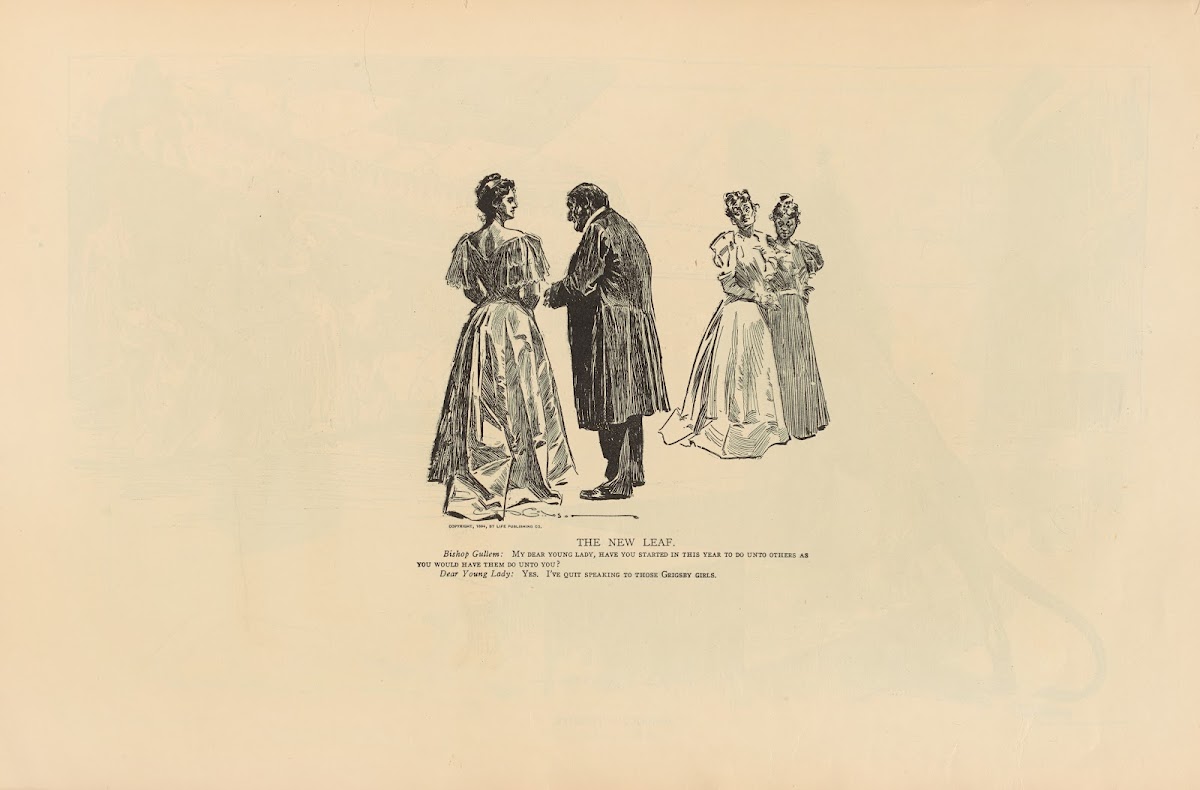 The new leaf 1893 1900