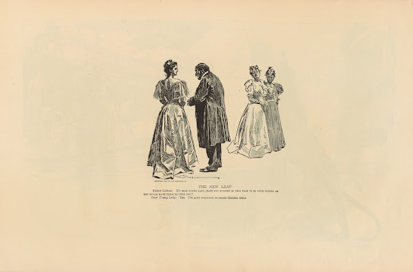 The new leaf 1893 1900