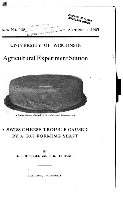 a swiss cheese trouble caused by a gas