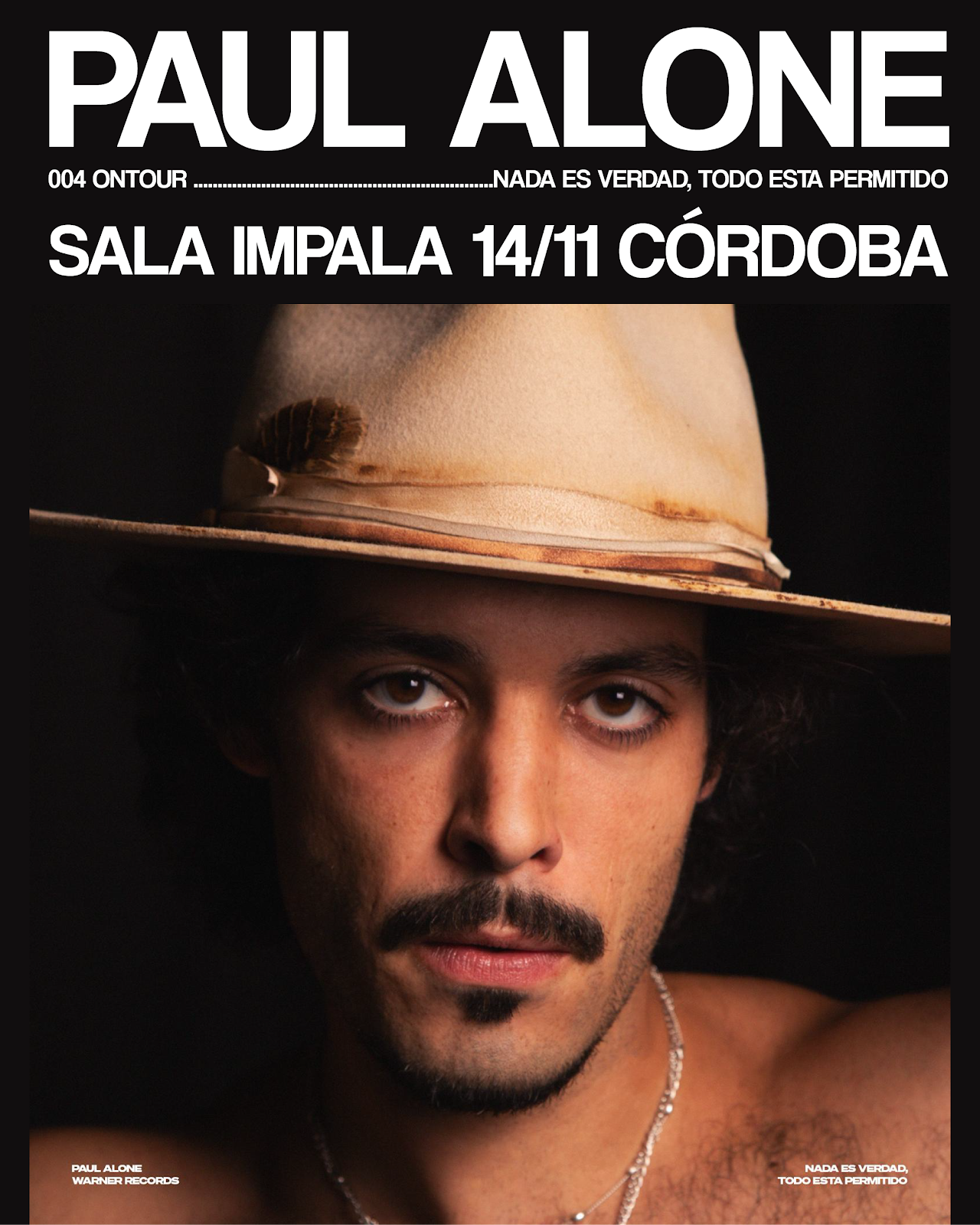 Cartel de PAUL ALONE