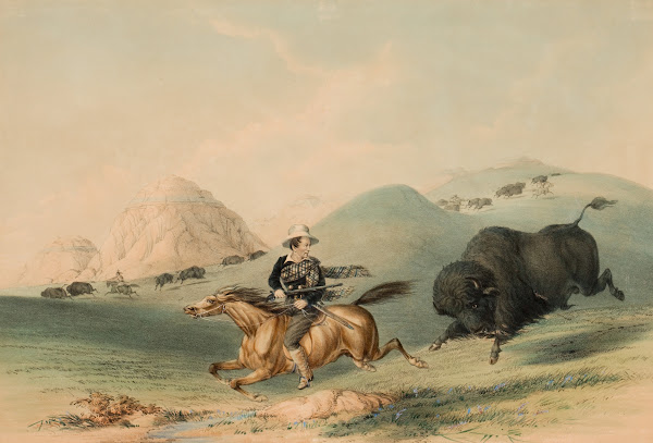 Buffalo Hunt Chasing Back 1844