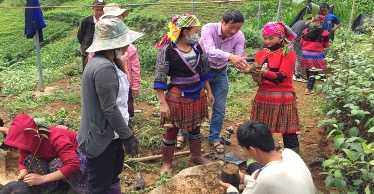 Dự án “Các loài cây bản địa của Việt Nam để  cải thiện sinh kế”