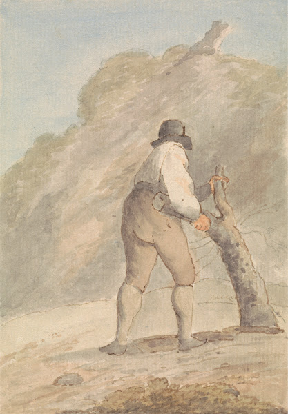 Woodsman