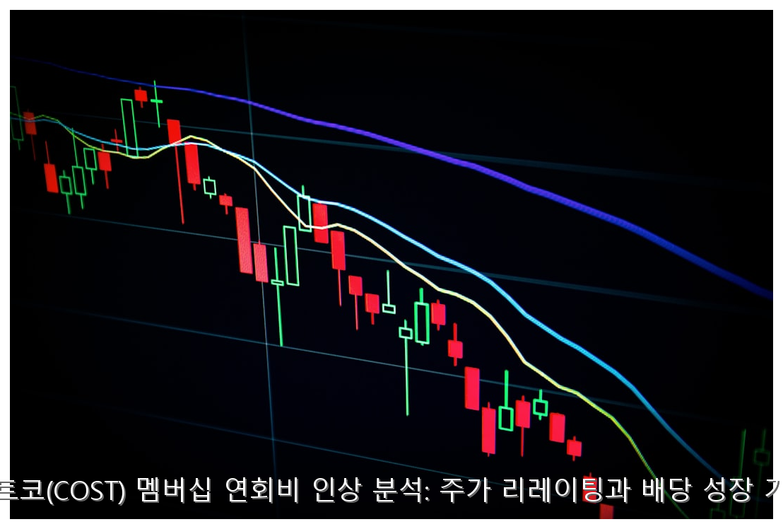 코스트코(COST) 멤버십 연회비 인상 분석: 주가 리레이팅과 배당 성장 가이드 핵심 안내 및 분석 인포그래픽 (8)