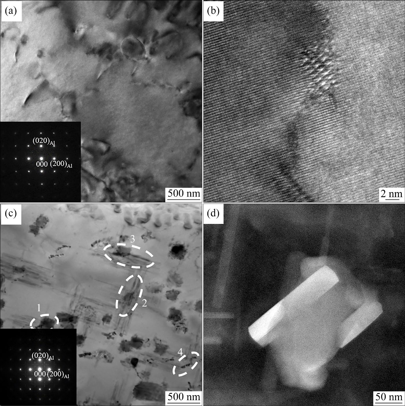 Precipitation behavior of S' phase in rapid cold punched Al−Cu−Mg alloy