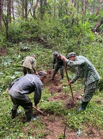 Dự án “Các loài cây bản địa của Việt Nam để  cải thiện sinh kế”