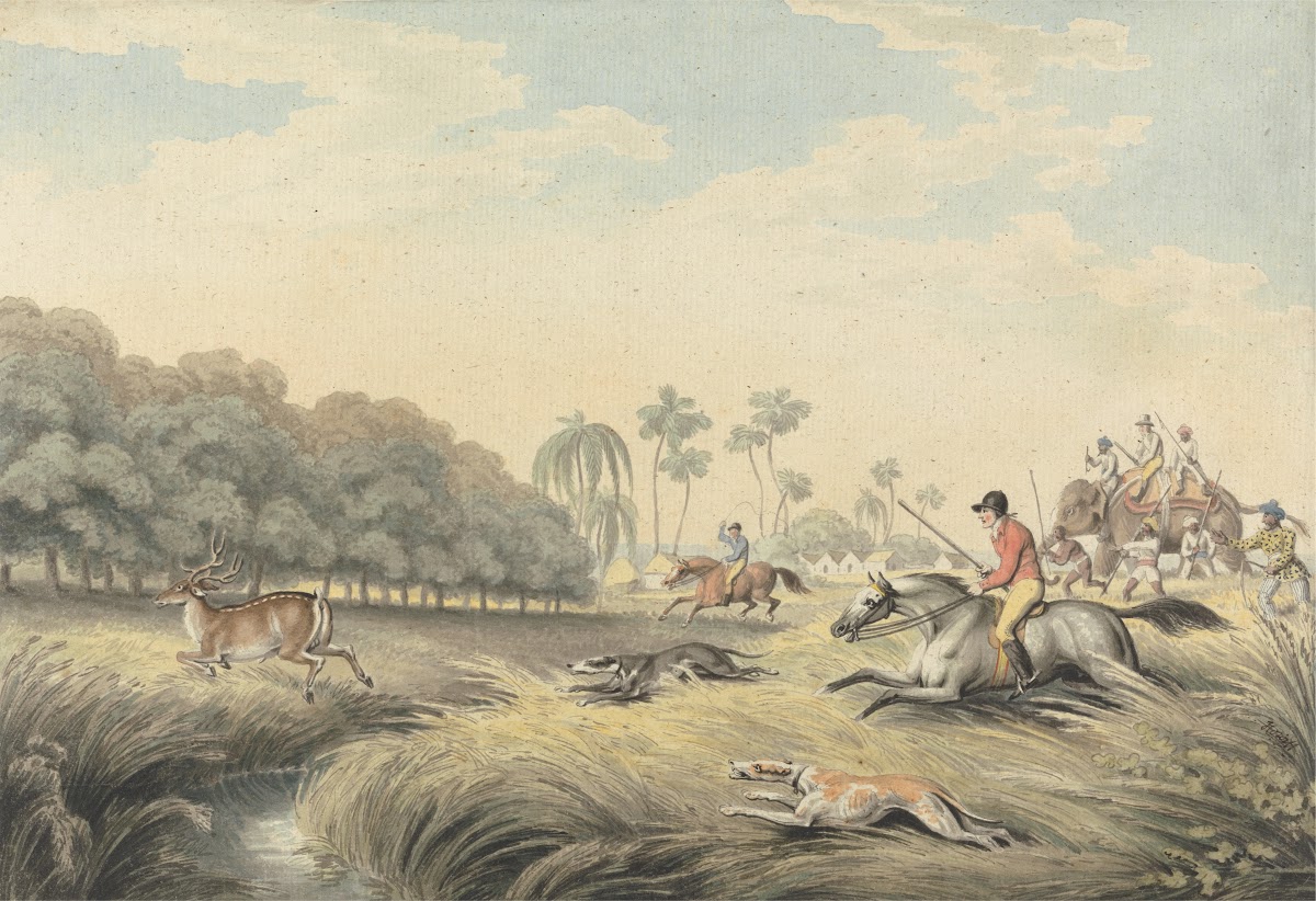 Hunting a Hog Deer 1805