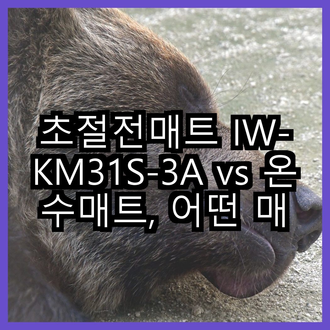 초절전매트 IW-KM31S-3A vs 온수매트, 어떤 매트가 더 따뜻할까요? 썸네일