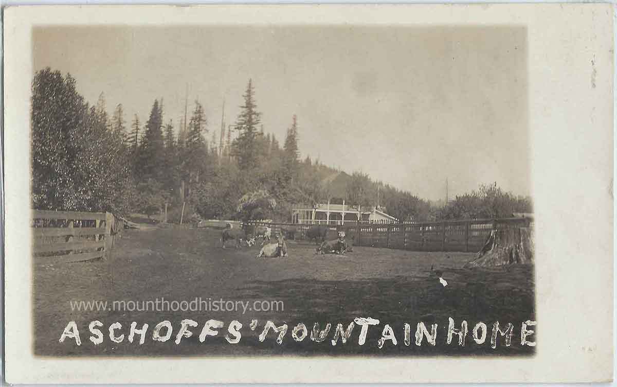 Aschoff's Mountain Home 