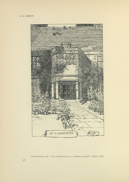 Ivy  Honeysuckle  The chronicles of a cornish garden 1914