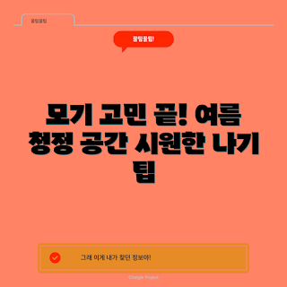 바로살림모기퇴치기, 여름 모기 퇴치, 초보자 가이드, 모기 방지 팁, 효과적인 모기 퇴치