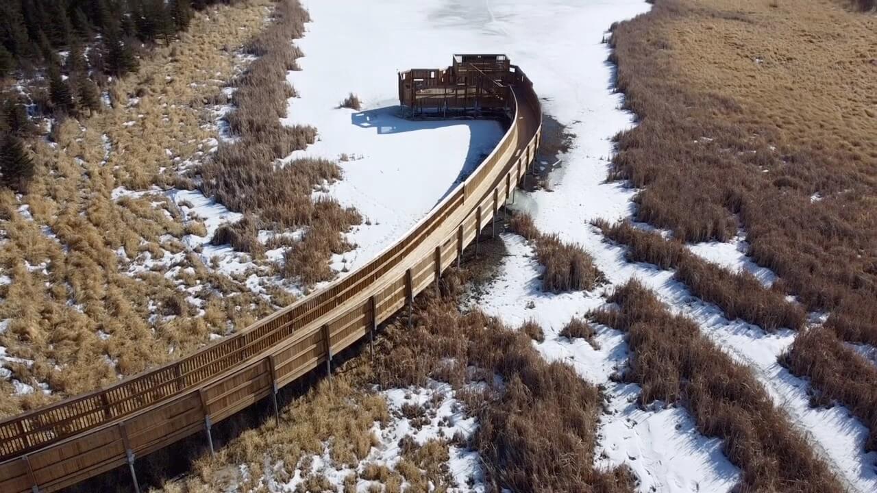 Kerry Wood Bird Blind