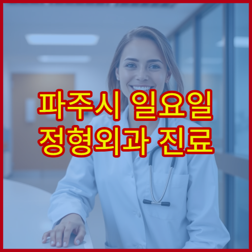 파주시 일요일 정형외과 진료 병원 허리디스크·관절염 상담 가능