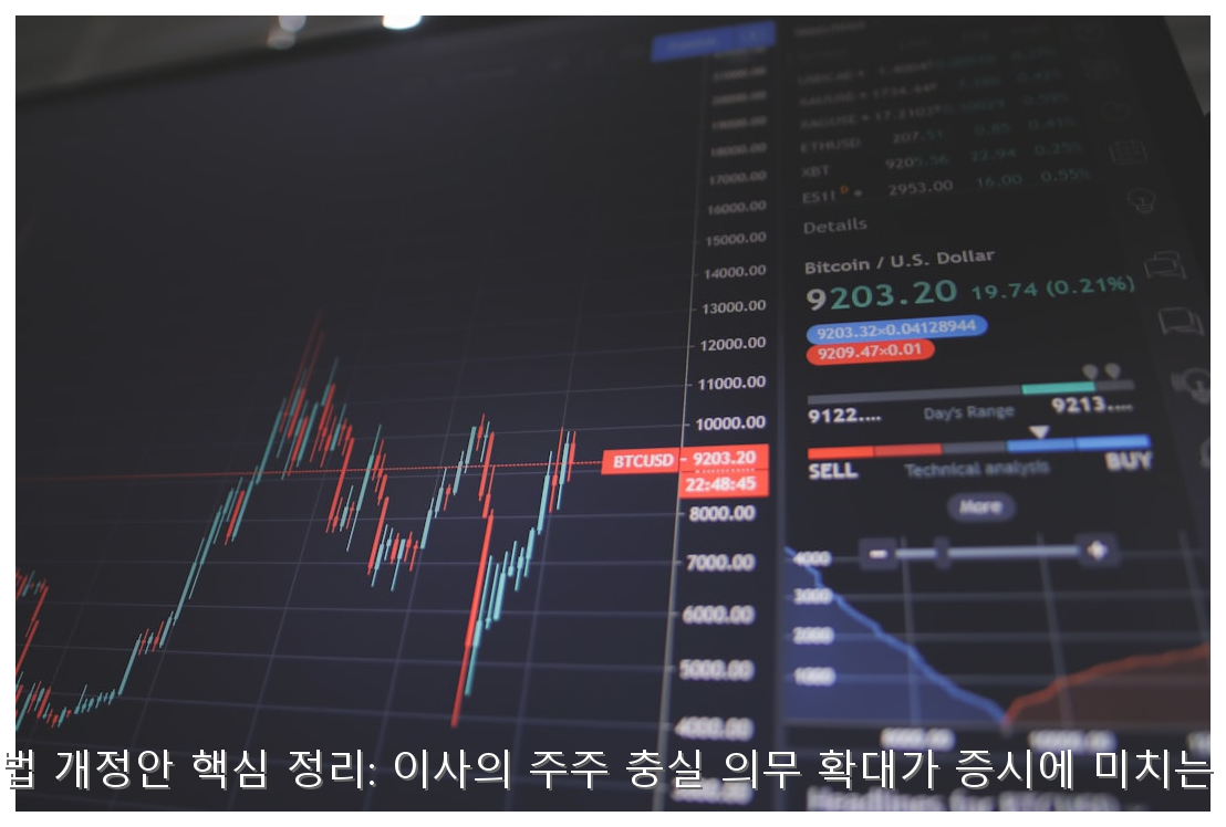 K-상법 개정안 핵심 정리: 이사의 주주 충실 의무 확대가 증시에 미치는 영향 핵심 안내 및 분석 인포그래픽 (8)