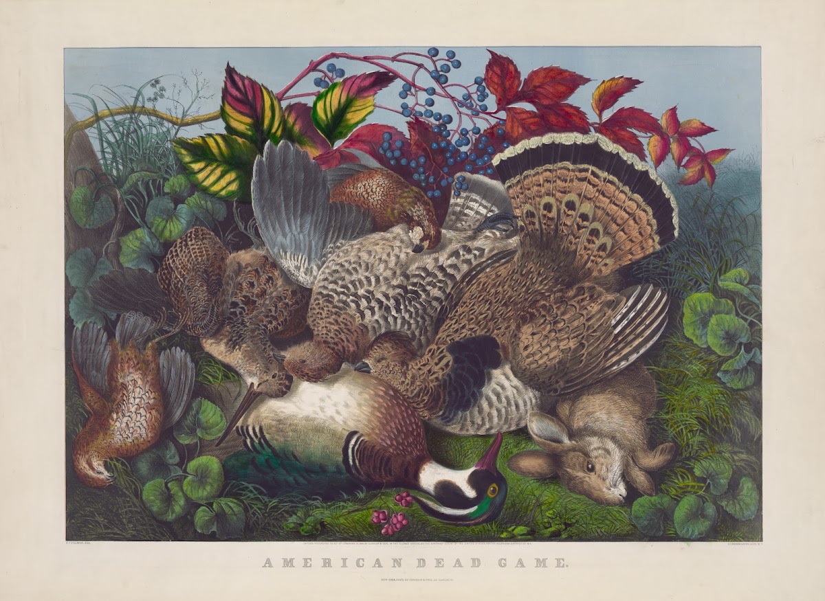 American dead game 1866