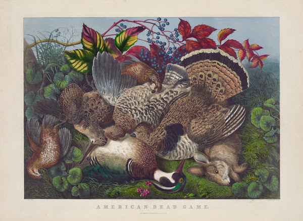 American dead game 1866