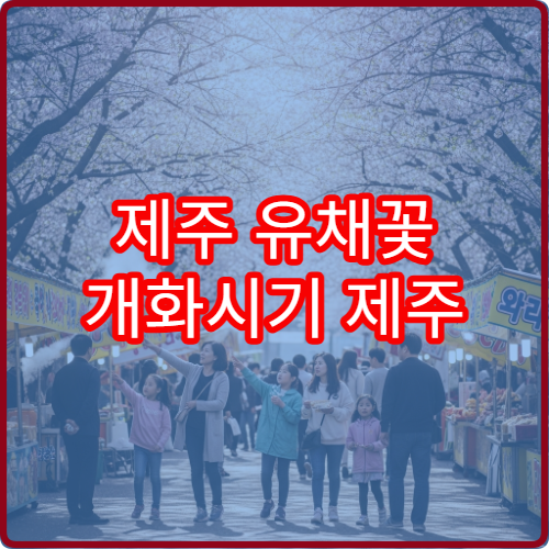 제주 유채꽃 개화시기 제주 봄꽃 절정 시기