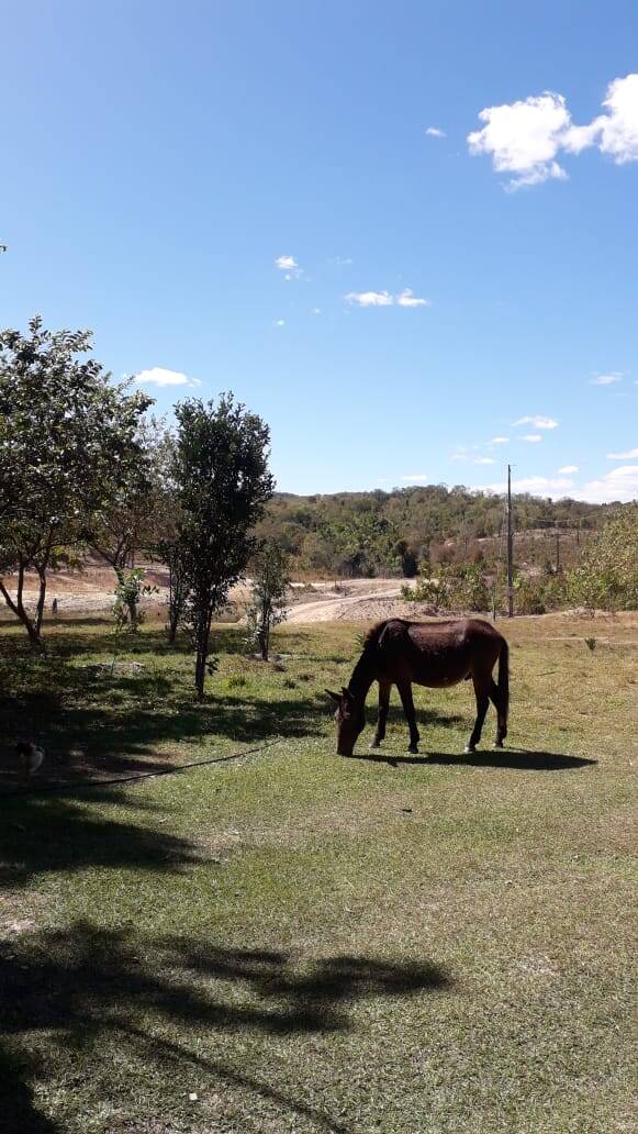 Sítio em Goiás Velho - GO 5