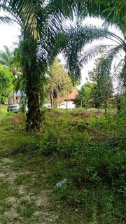 Tanah Pertanian Bukit Cerakah Seksyen U15 — foto 9/10